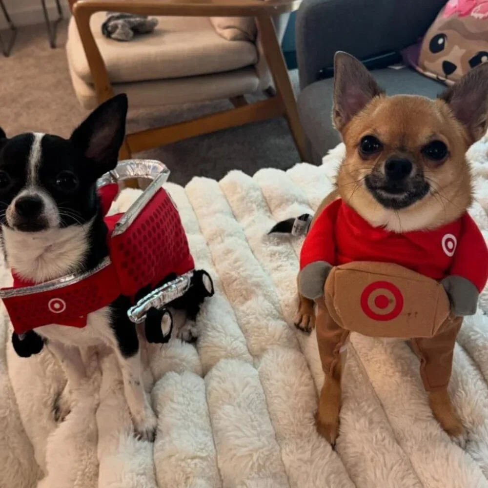 Adult Target Shopping Basket Halloween Costume + pet costume